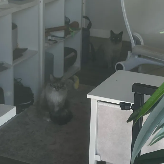 Livi Sits