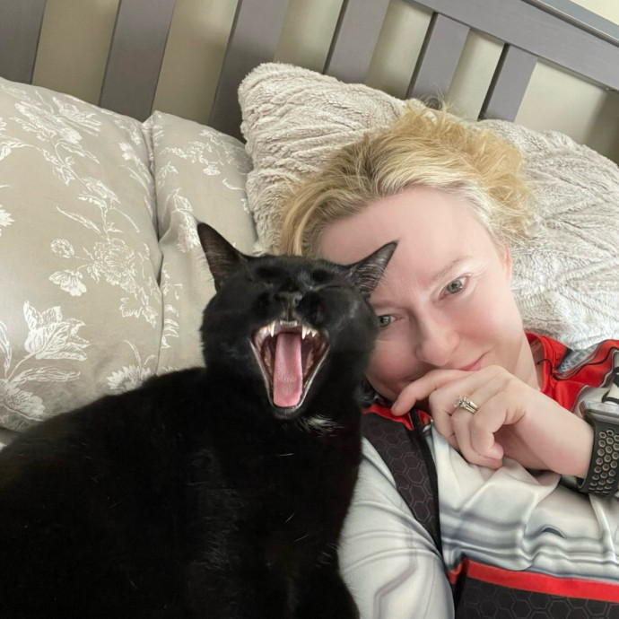 Cats Are My Spirit Animal