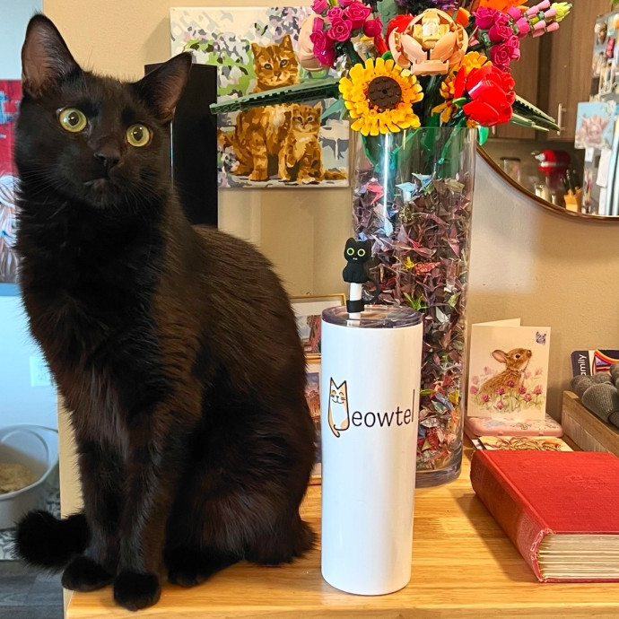 The Upstate Cat Sitter