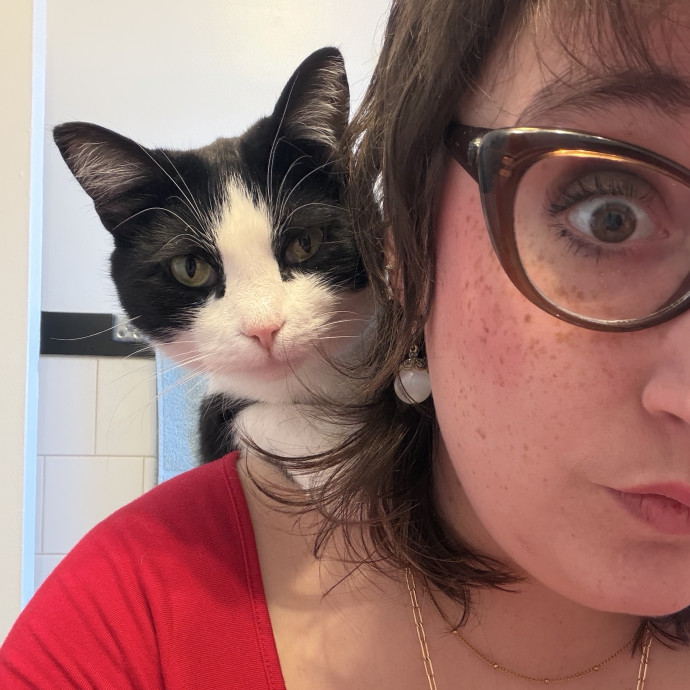 Katharine's Su-Purr-Ior Cat Care photo 2