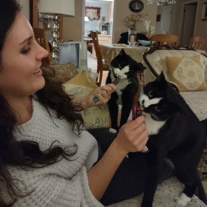 The Purrfect Sitter