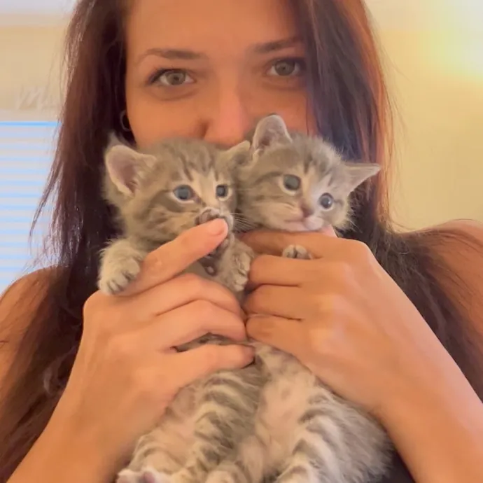 Toe Beans Cat Sitting Of Metro Detroit photo 3