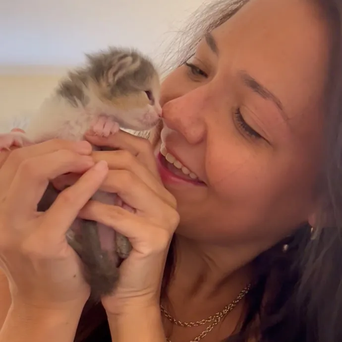 Toe Beans Cat Sitting Of Metro Detroit photo 2