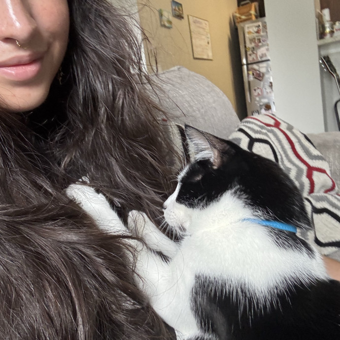 Purrsonalized Catsitting For You