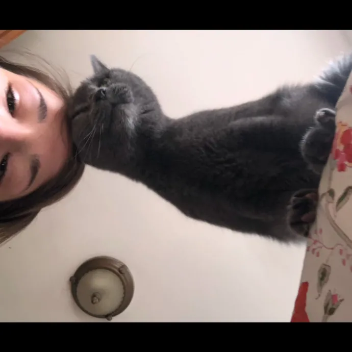 Cat Whisperer At Your Service