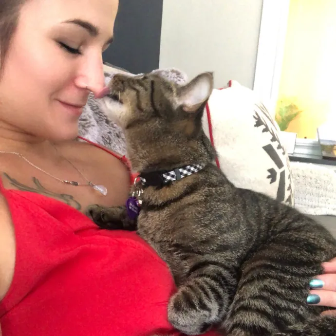 Cat Whisperer At Your Service
