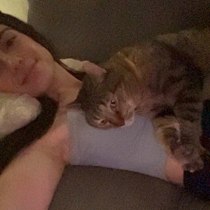 Gentle Cat Lover Reliable And Caring photo 3