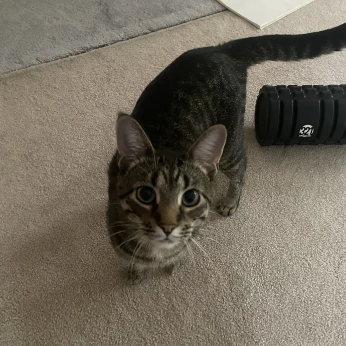 Ellie H.