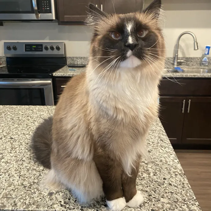 Ellie H.