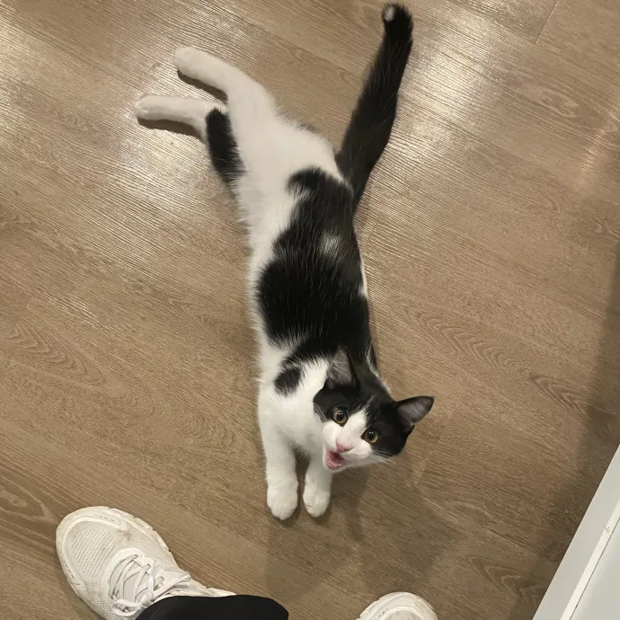 Ellie H.