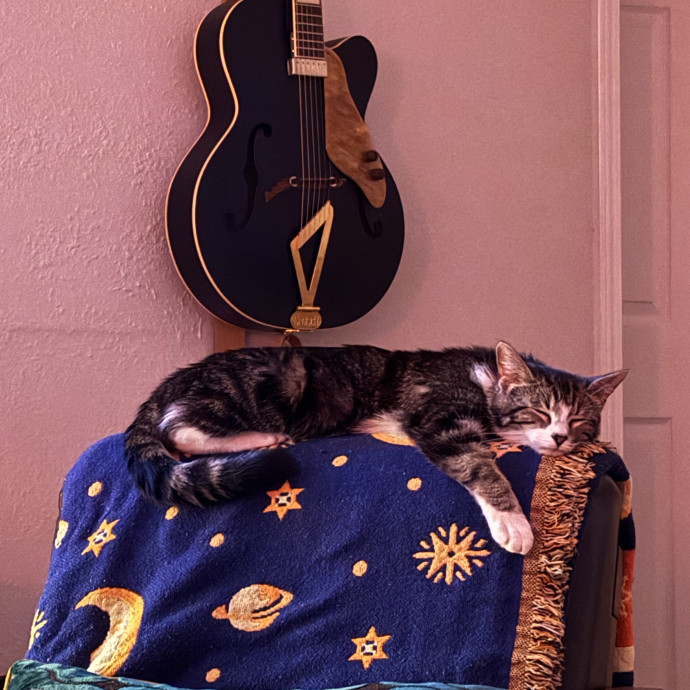 Your Dedicated Cat Sitter