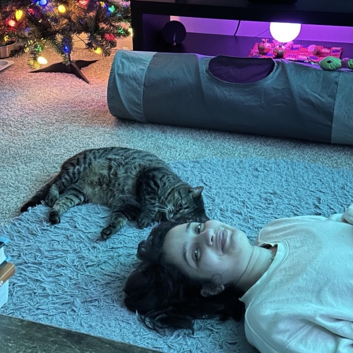 Your Dedicated Cat Sitter