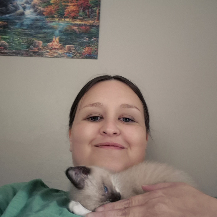 Royalty Catsitting photo 3