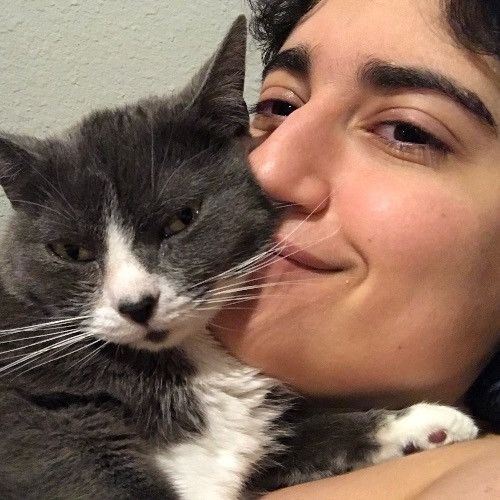 Joy Of Cat Sitting