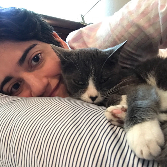 Joy Of Cat Sitting photo 3