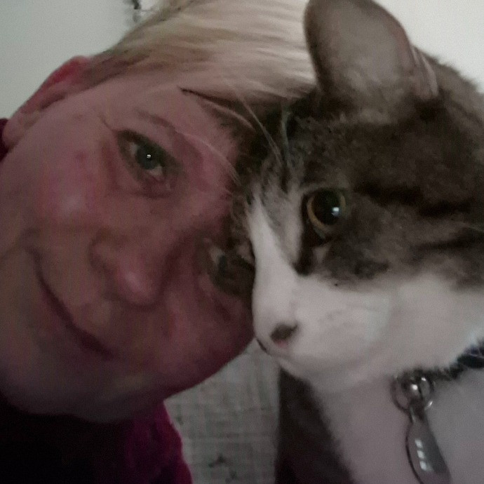 Joyces Fear Free Certified Cat Care