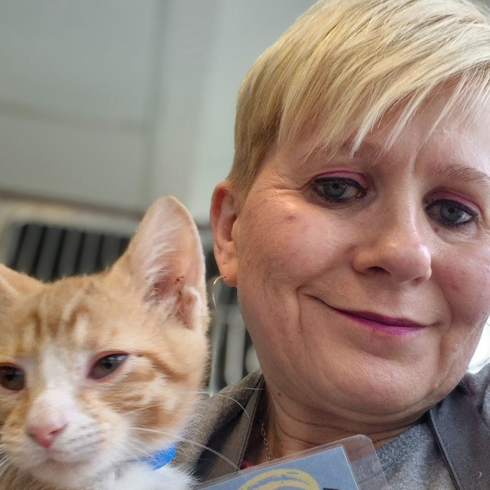 Joyces Fear Free Certified Cat Care