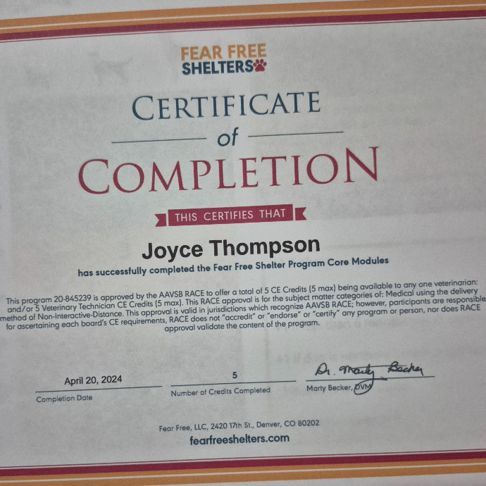 Joyces Fear Free Certified Cat Care