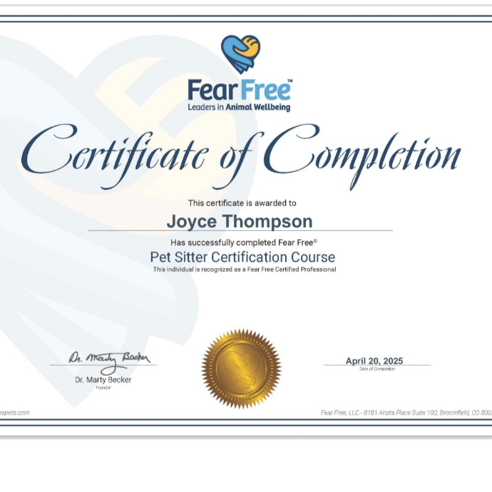 Joyces Fear Free Certified Cat Care
