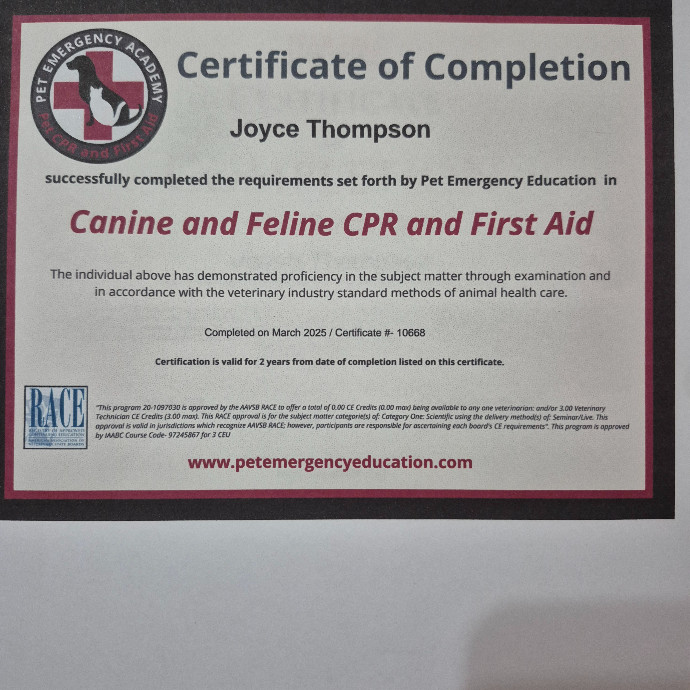 Joyces Fear Free Certified Cat Care