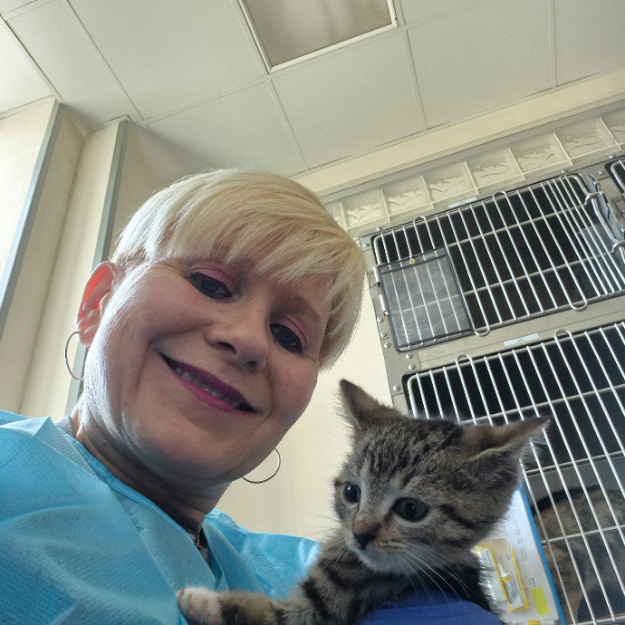 Joyces Fear Free Certified Cat Care