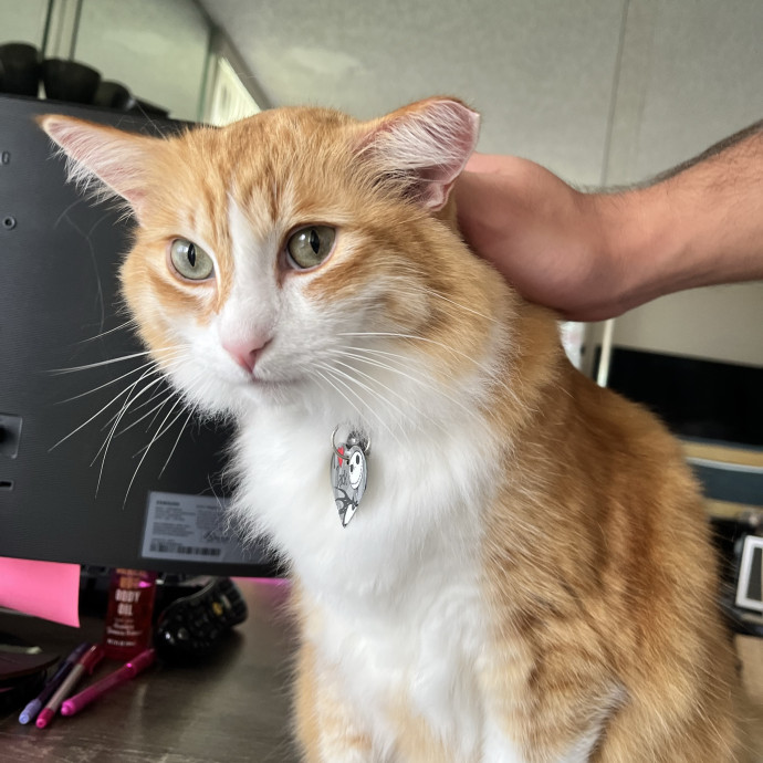 Fluent In Head Boops And Purrs photo 3