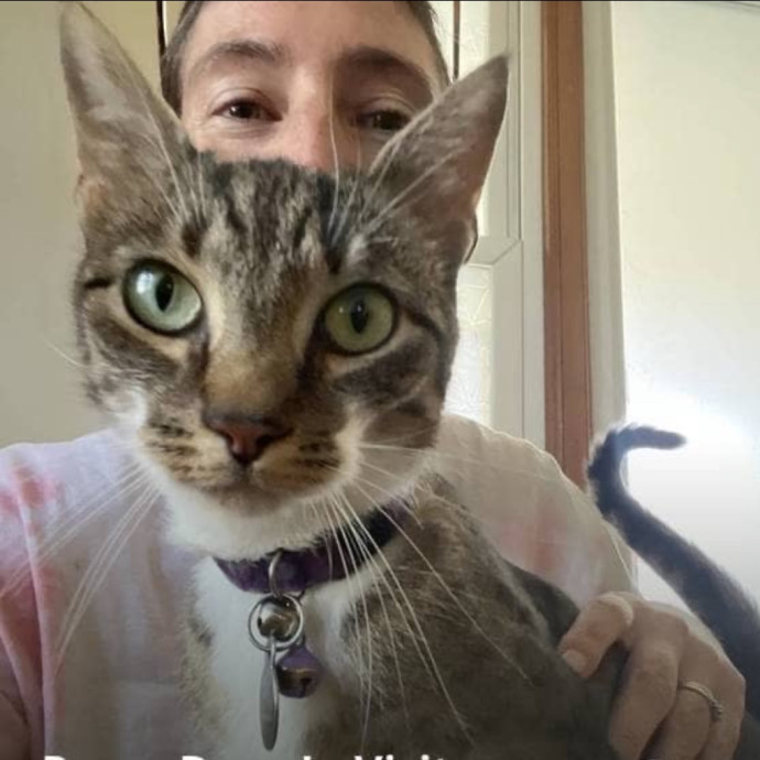 Zookeeper Turned Insured Cat Sitter