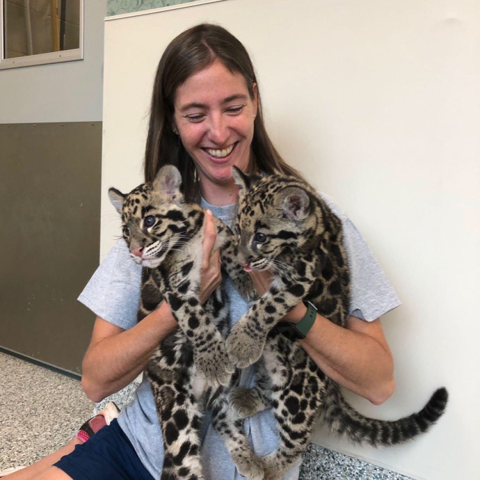 Zookeeper Turned Insured Cat Sitter photo 3