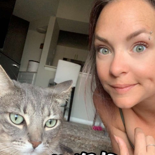 Amy's Purrfect Meowfia