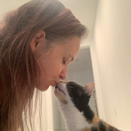 Amy's Purrfect Meowfia