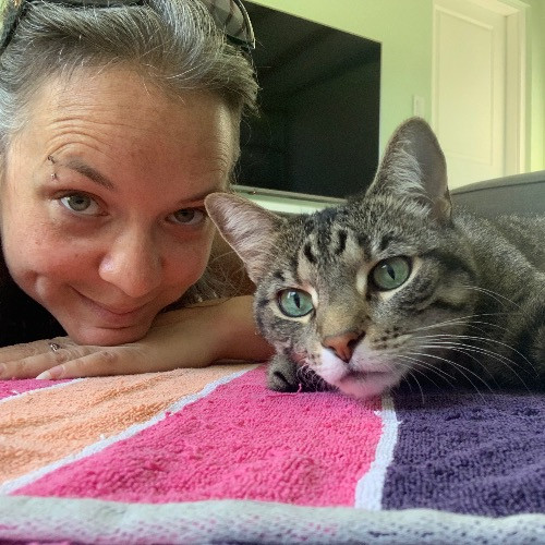Amy's Purrfect Meowfia
