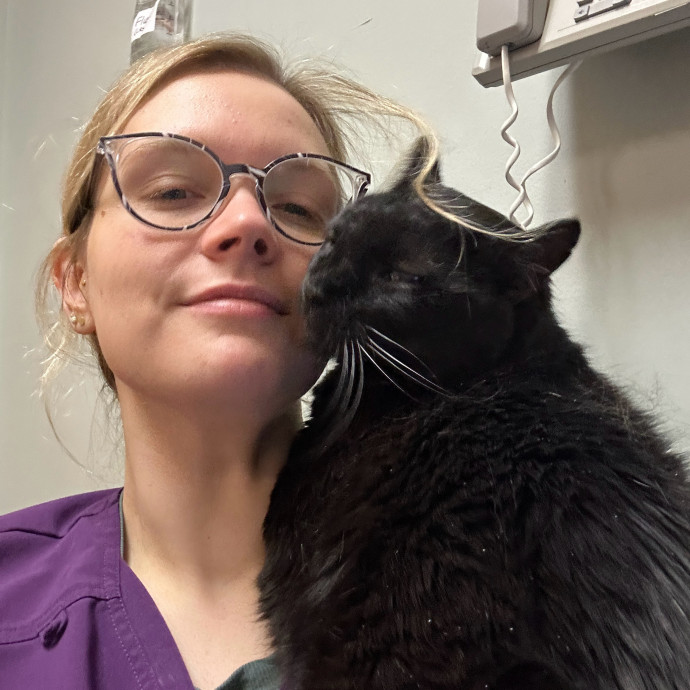 Certified Veterinary Nurse And Cat Lover