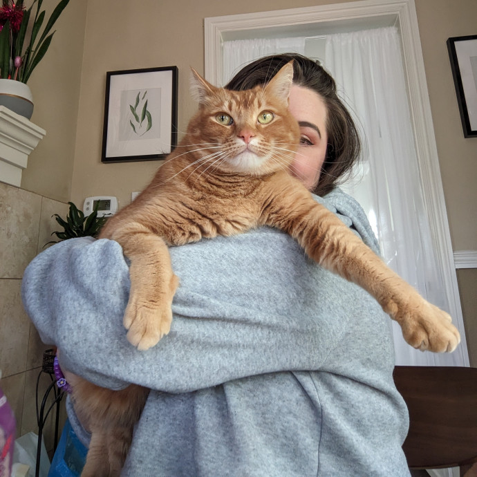 Loving Care For Cats Of All Ages