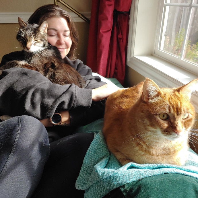 Loving Care For Cats Of All Ages