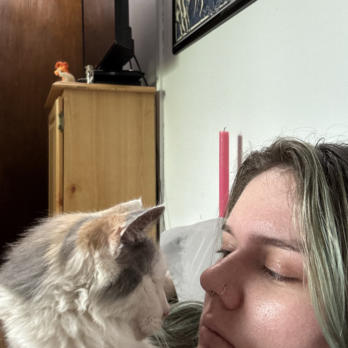 Your Cat's Next Best Friend photo 3