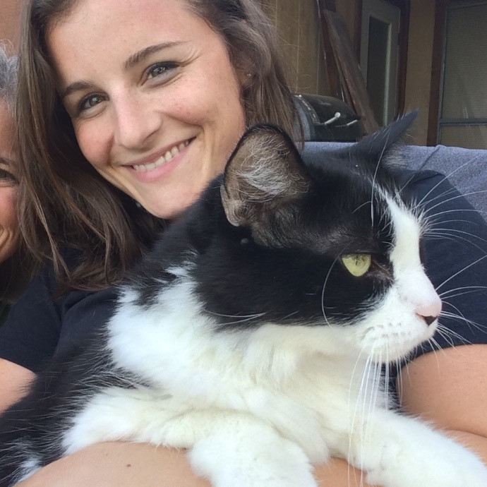 Caitlin's Cat Service photo 3
