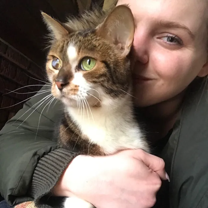 Comfort Cat-Sits By Canaan
