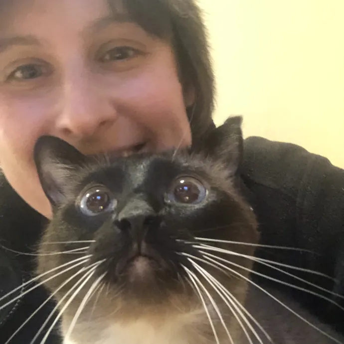 Your Cats New Best Friend