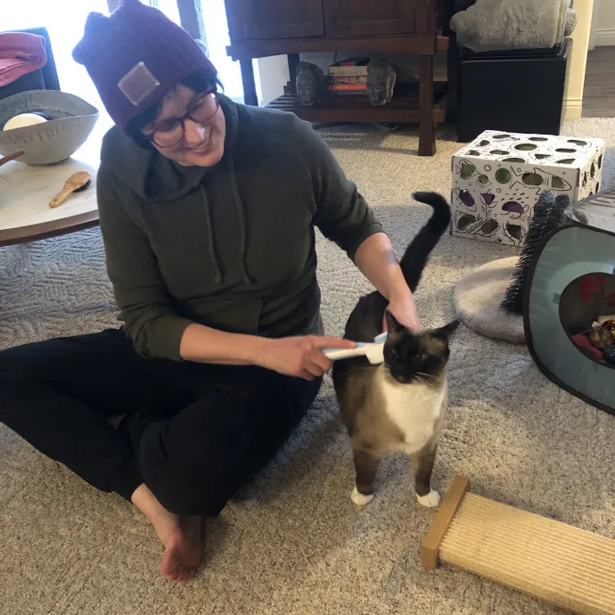 Your Cats New Best Friend