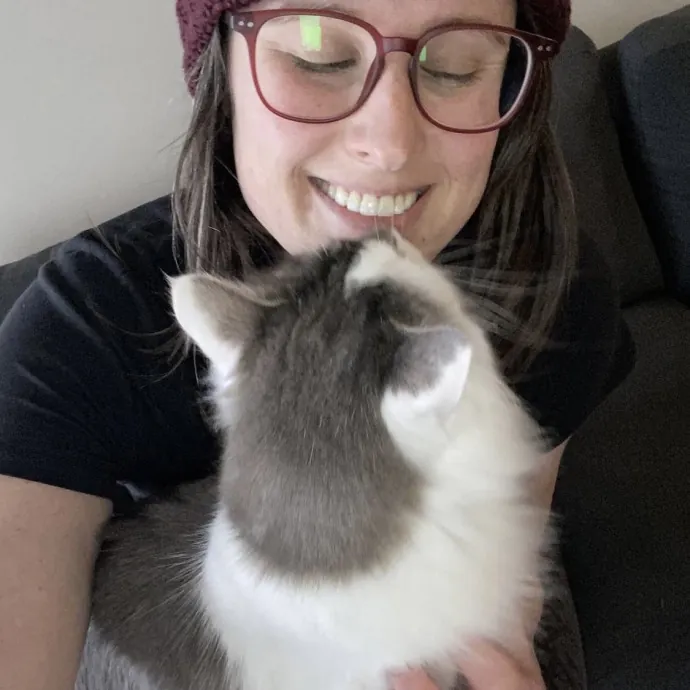 Your Cats New Best Friend
