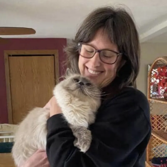 Your Cats New Best Friend