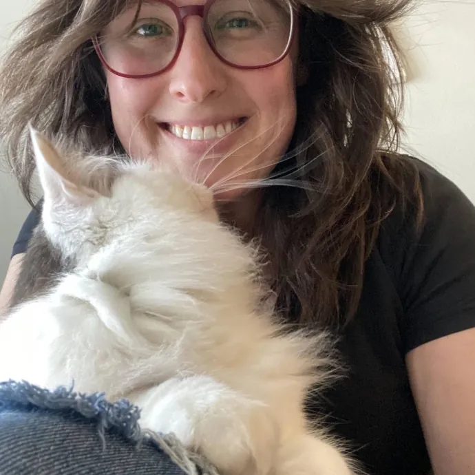 Your Cats New Best Friend