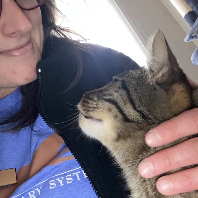 Your Cats New Best Friend