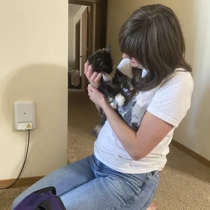 Your Cats New Best Friend