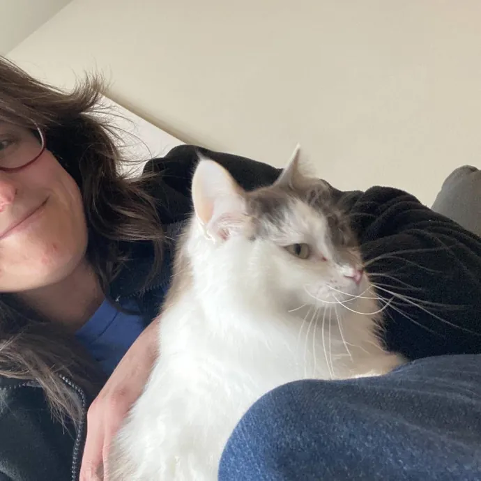 Your Cats New Best Friend