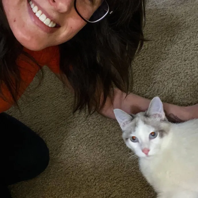 Your Cats New Best Friend