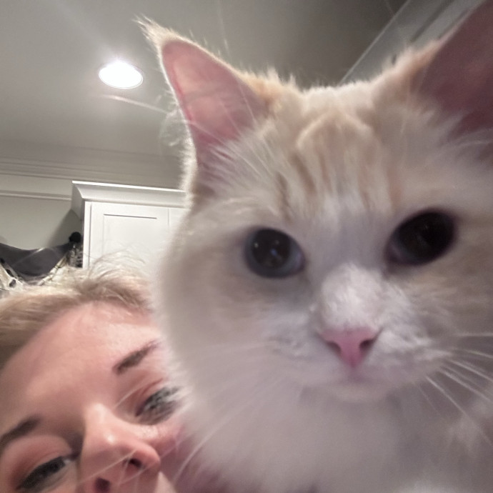 A Pawsitive Experience