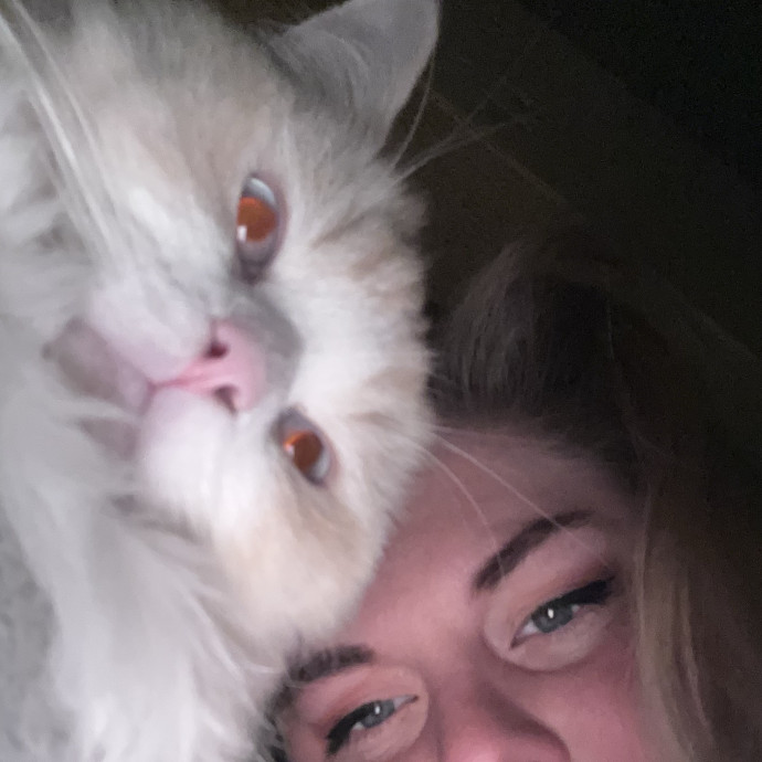 A Pawsitive Experience photo 2