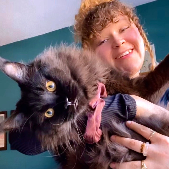 Cass's Purrrrrrfect Service