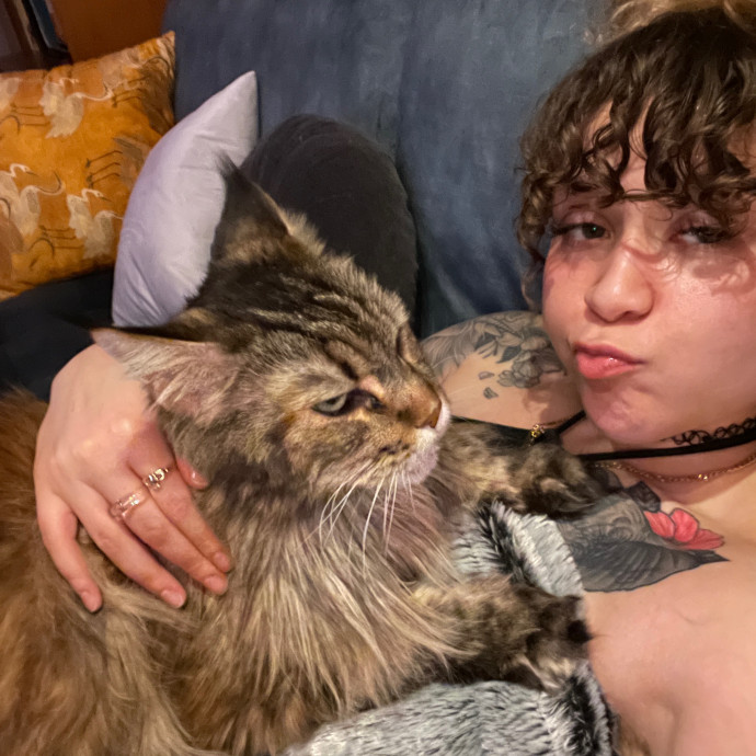 Cass's Purrrrrrfect Service
